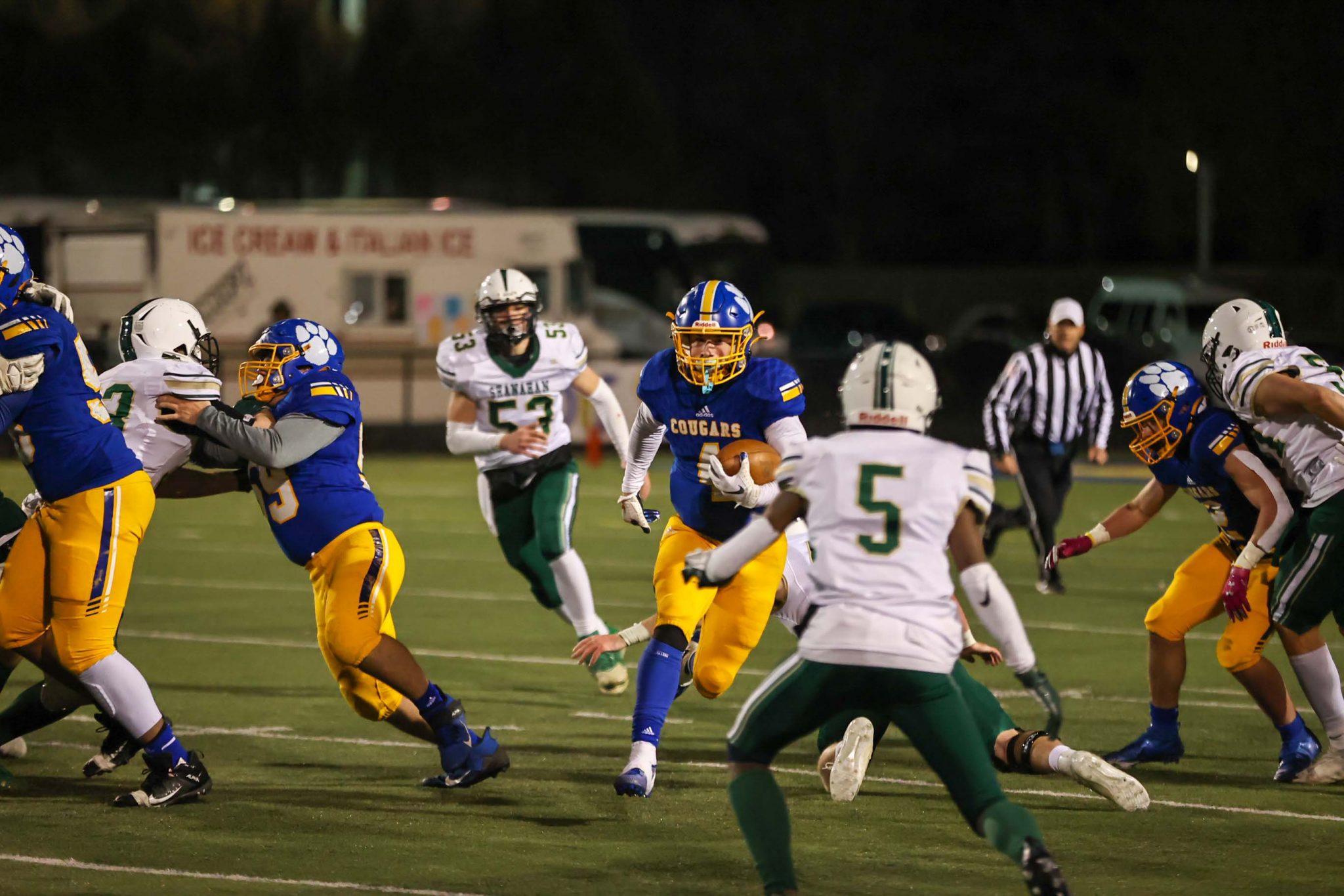 Valley View/Bishop Shanahan football photo gallery – NEPA Sports Nation